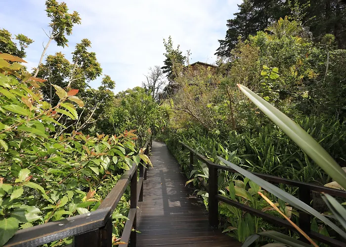 Big Tree House Lodge