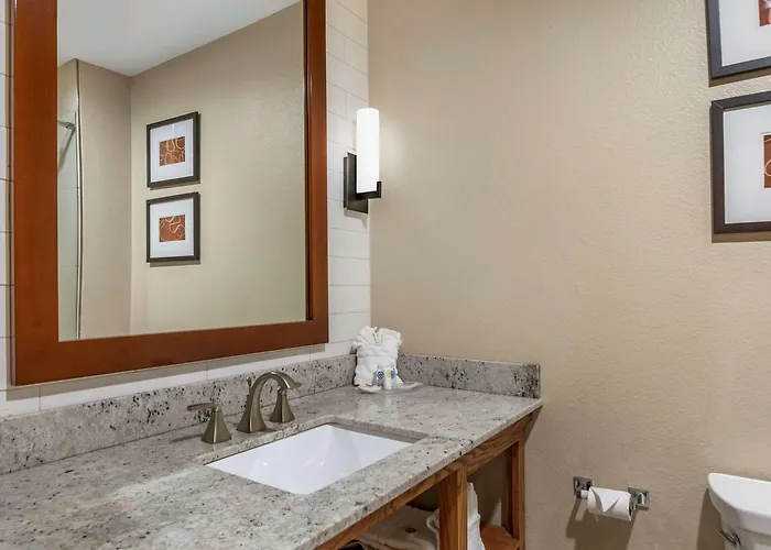 Comfort Suites - University