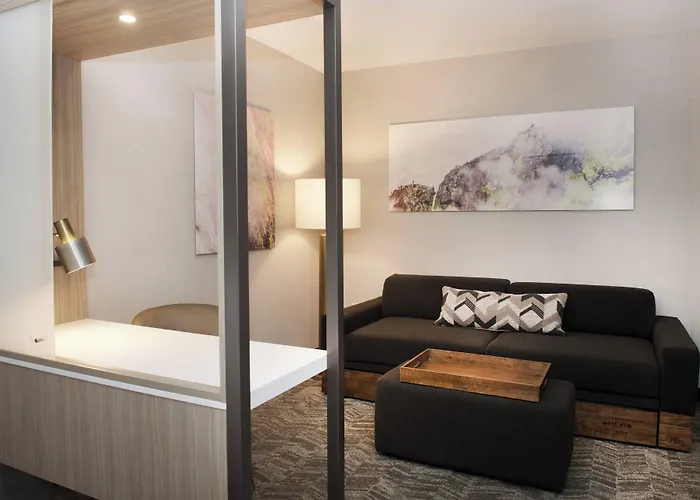 Springhill Suites By Marriott Seattle Issaquah