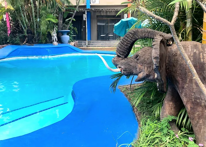 Elephant Springs