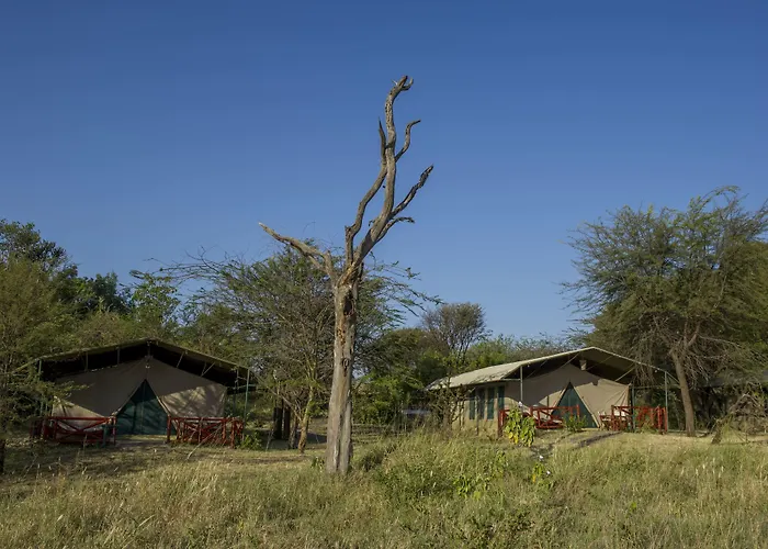 Mbuzi Mawe Serena Camp