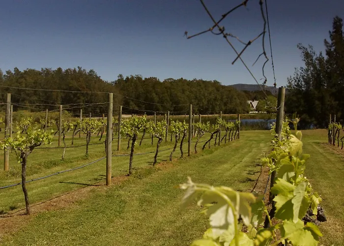 The Carriages Boutique Hotel And Vineyard