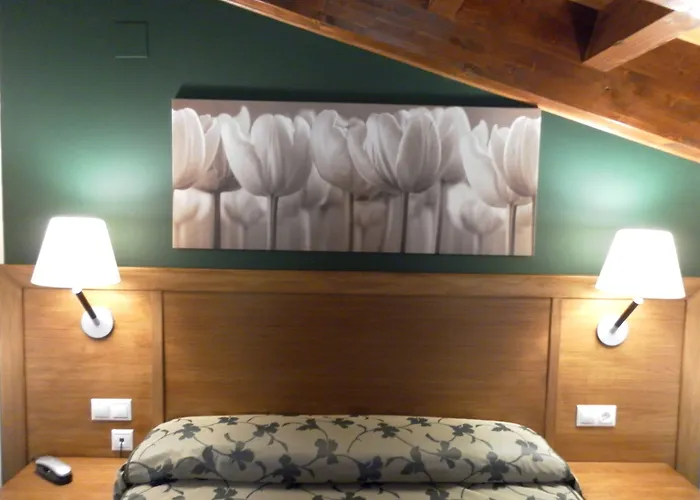 Hotel Milagros Rio Riaza
