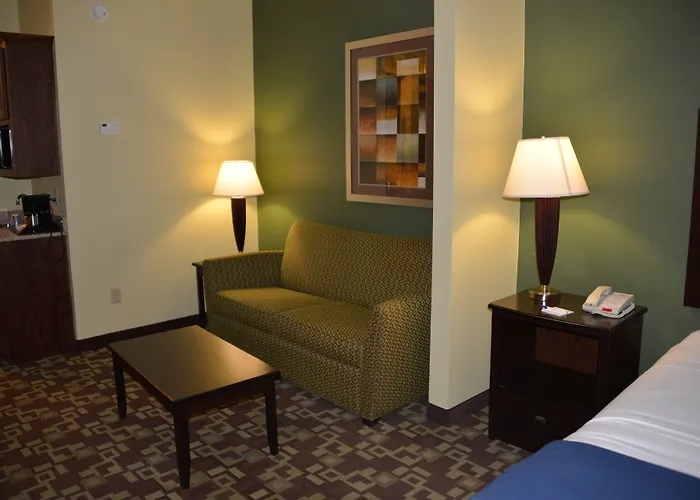 Holiday Inn Express Hotel & Suites Dumas By Ihg