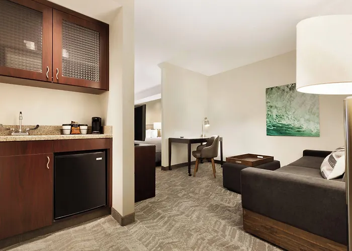 Springhill Suites By Marriott West Palm Beach I-95