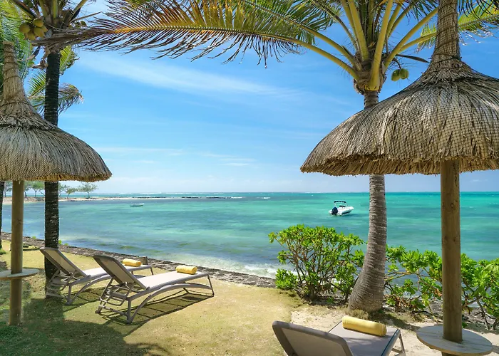 Tropical Attitude (Adults Only)