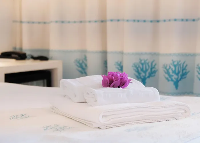 Hotel Palau