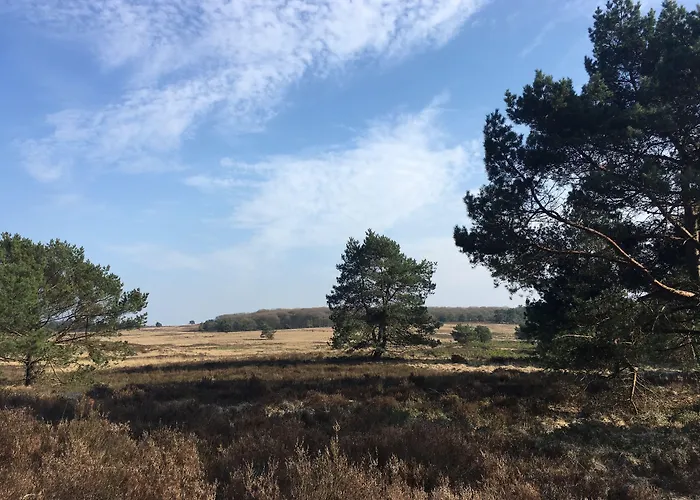 WestCord Hotel de Veluwe