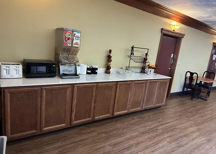 Ramada By Wyndham Saginaw Hotel & Suites