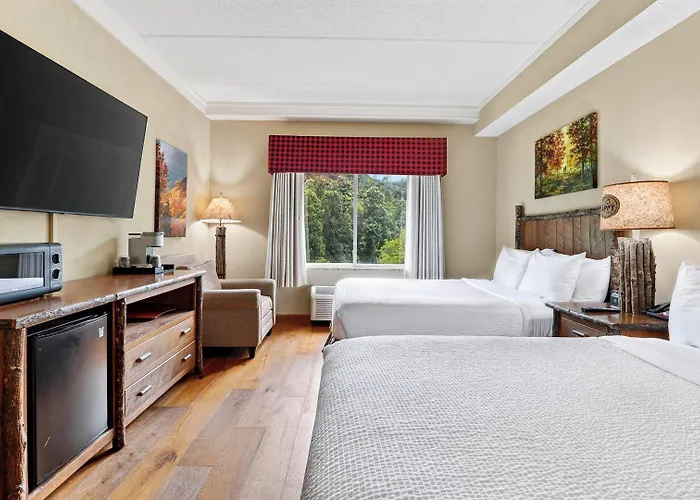 The Appy Lodge