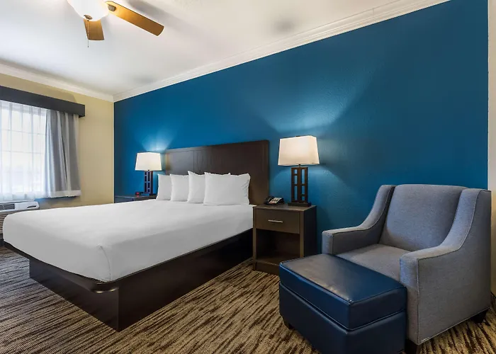 Best Western Dinosaur Valley Inn & Suites
