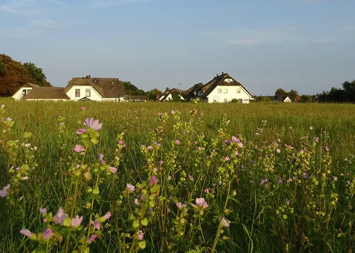 Landhotel Kastanienallee Putbus