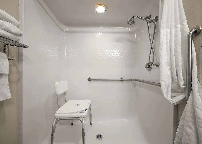 Comfort Inn & Suites Fenton