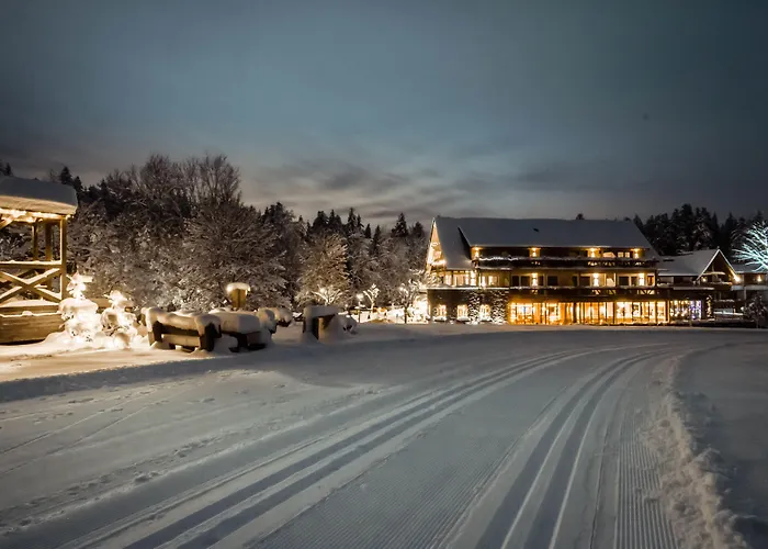 Hotel Gruener Wald