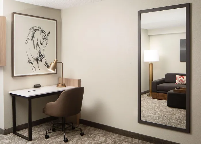 Springhill Suites By Marriott Dallas Downtown / West End