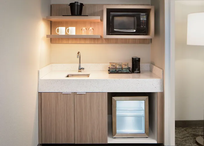Springhill Suites By Marriott Dallas Downtown / West End