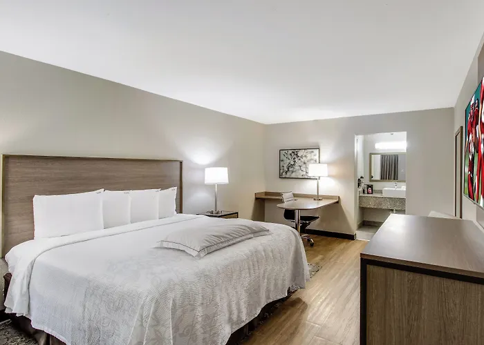 Red Roof Inn Plus+ Dallas - Addison