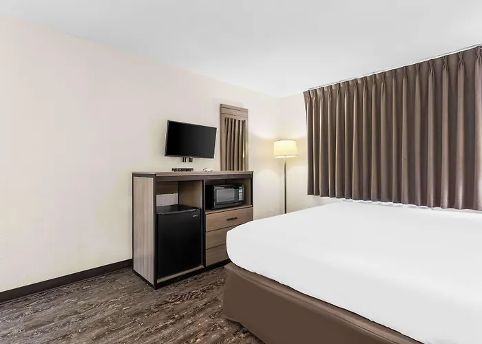 Surestay Hotel By Best Western Albuquerque Midtown