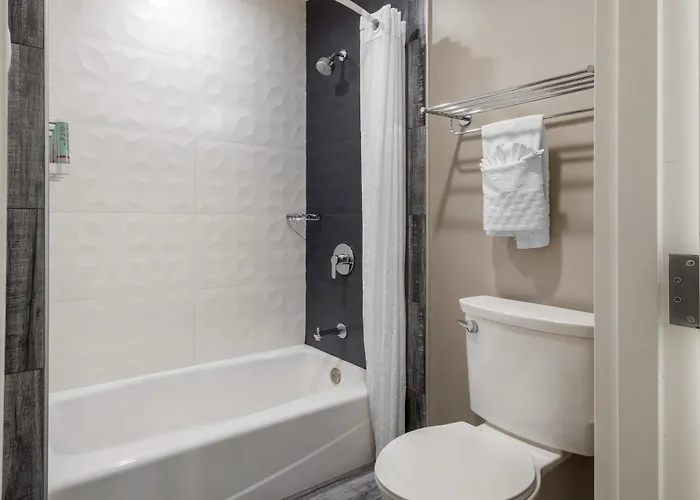 Surestay Plus By Best Western Santa Clara Silicon Valley