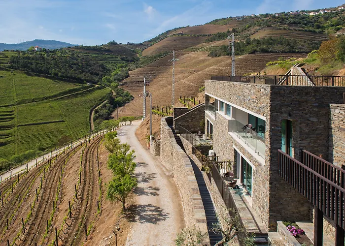 Vila Gale Douro Vineyards