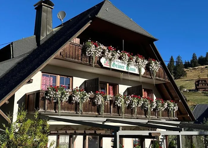 Hotel & Restaurant Gruener Baum - Die Gruene Oase Am Feldberg