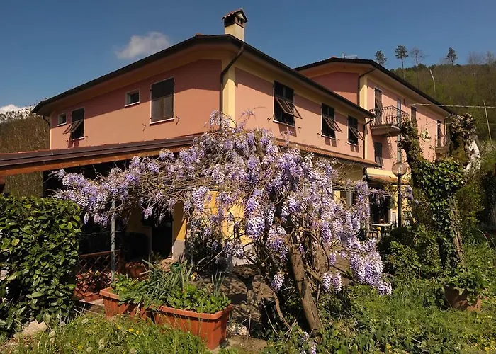 Le Rondini