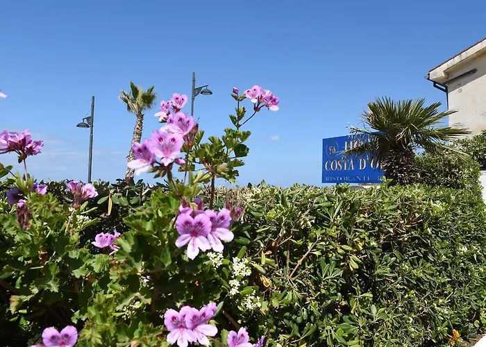 Hotel Costa D'Oro