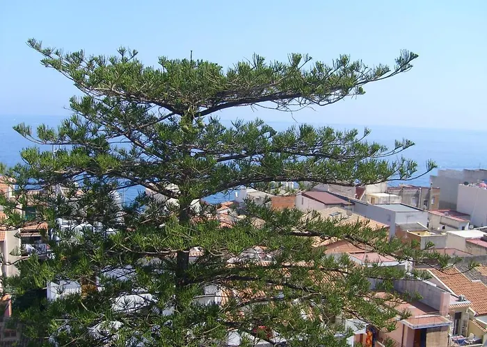 Hotel Delle Palme