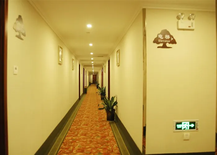 Greentree Inn Jiangxi Yingtan Xinjiang Area Government No. 1 Middle Business Hotel