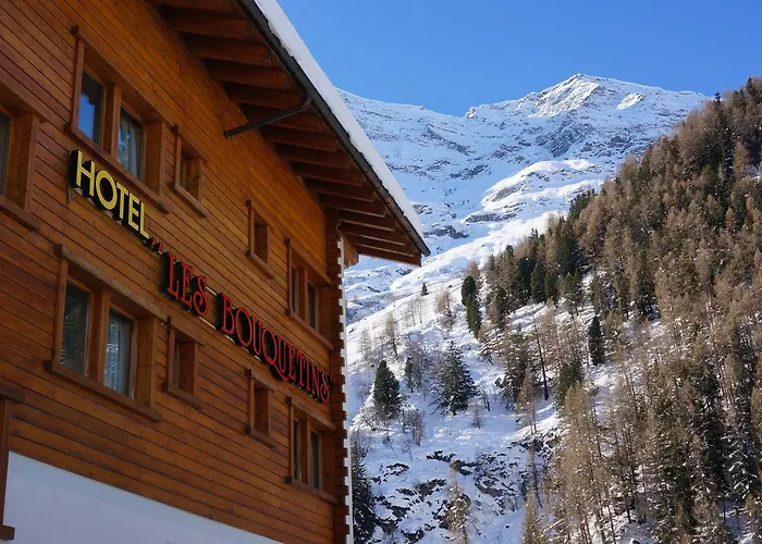 Hotel Les Bouquetins