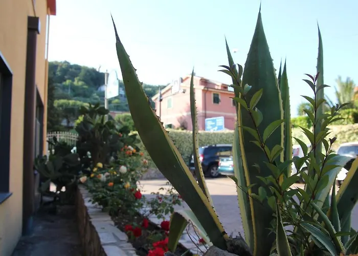 Albergo La Mimosa