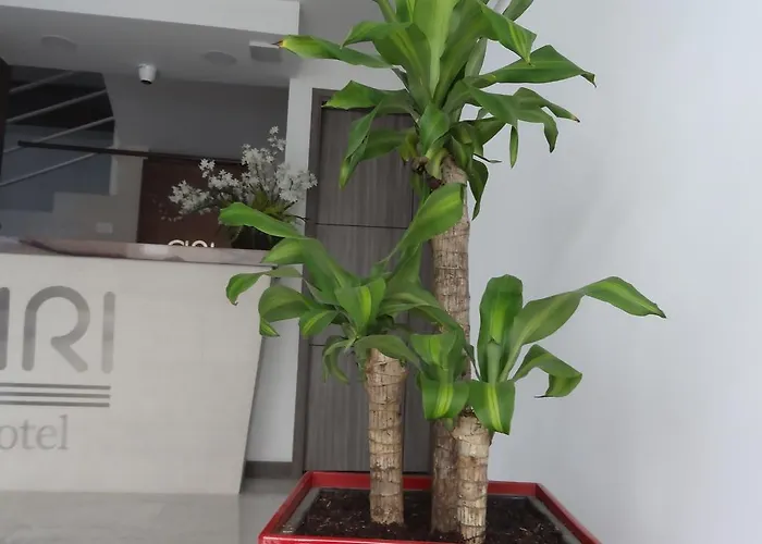 Ari Hotel Cali