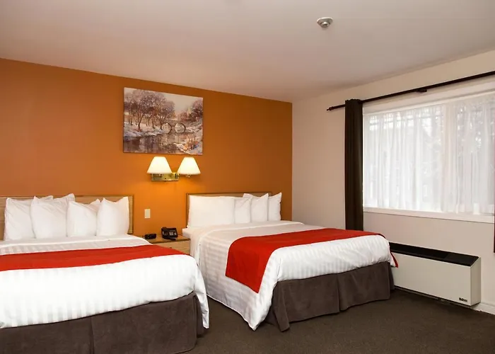 Hotel Robin Hood