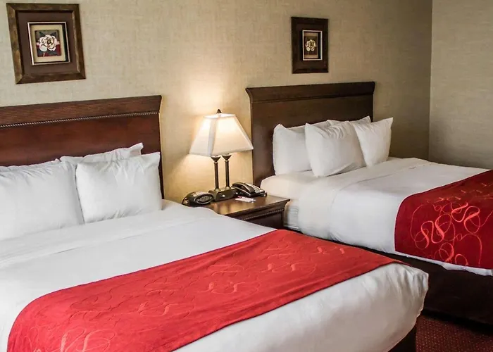 Comfort Suites Lake George - Queensbury