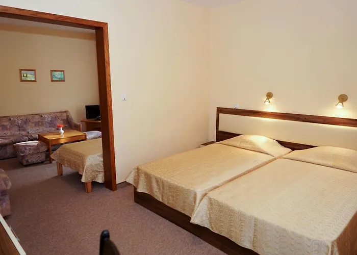 Hotel Bor
