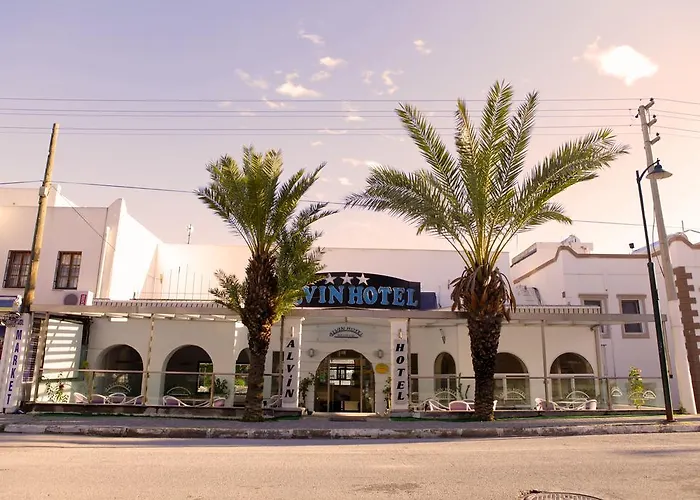 Alvin Hotel