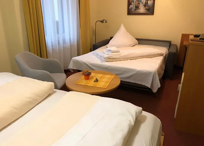 Hotel Rose Heidelberg Inklusive Fruehstueck, Saunanutzung Und Parkplaetze Nach Verfuegbarkeit